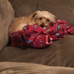 Meet your Posher, Jd